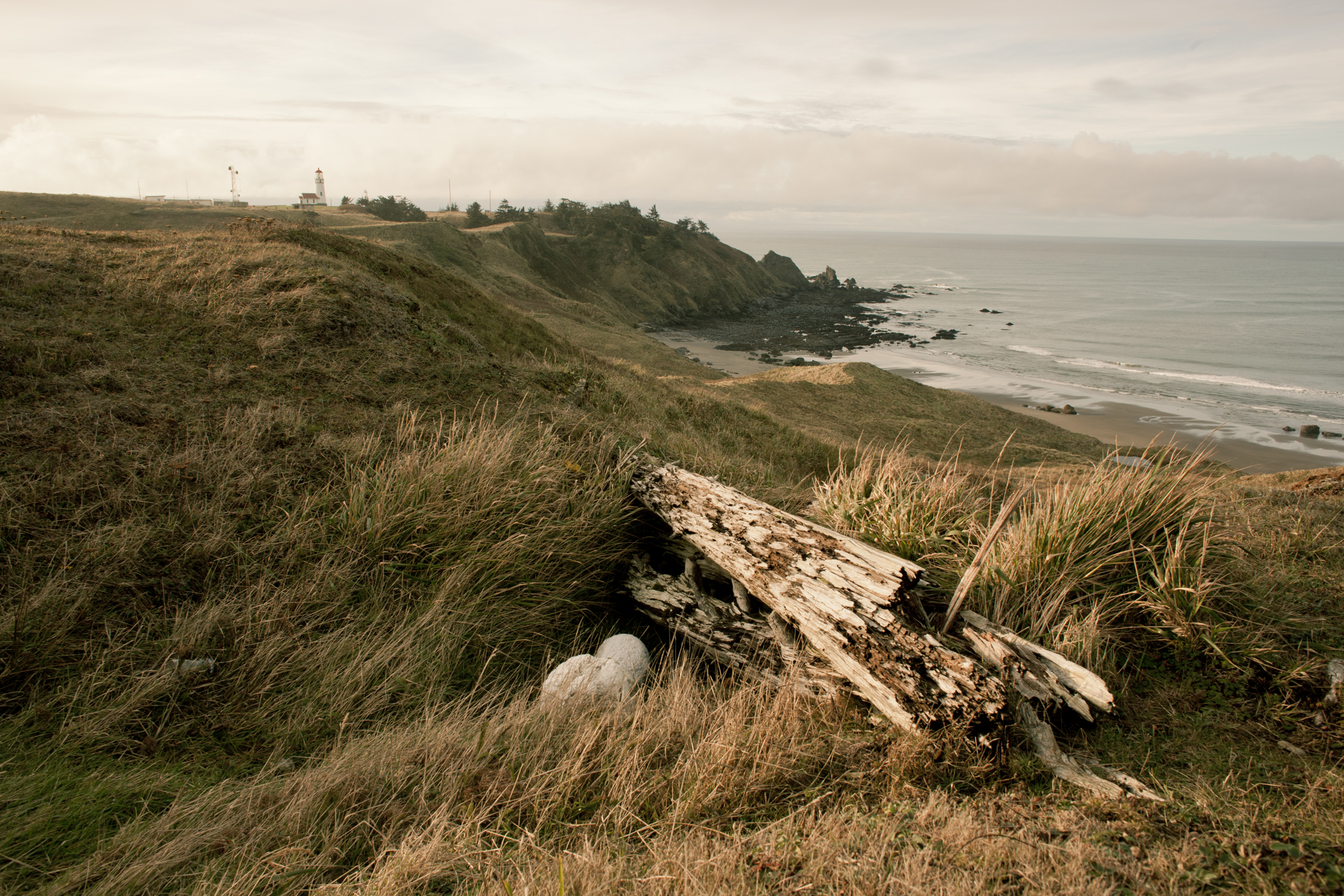 © duston todd_fine art_oregon_cape blanco.jpg