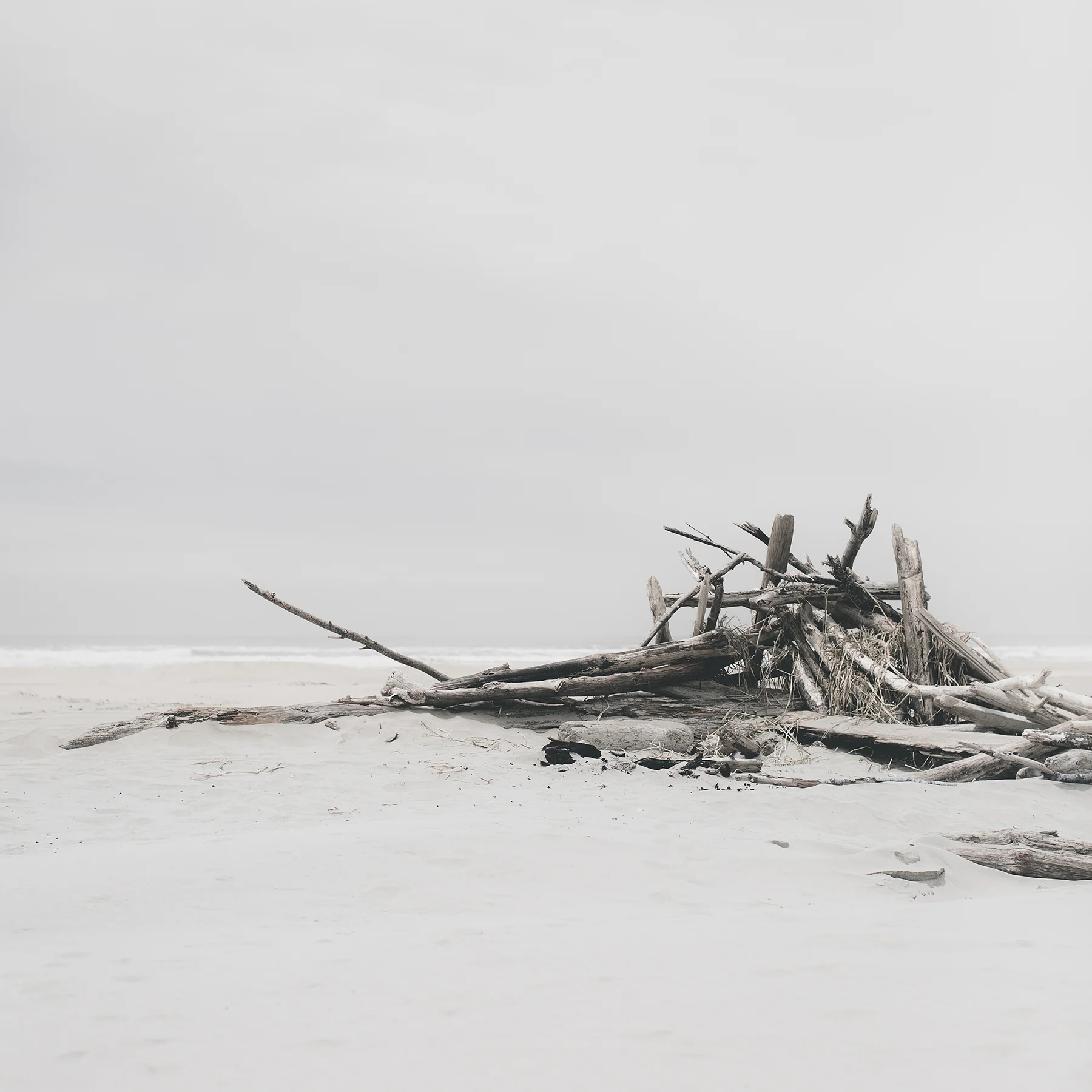 © duston todd_fine art_oregon_beach_driftwood_.jpg