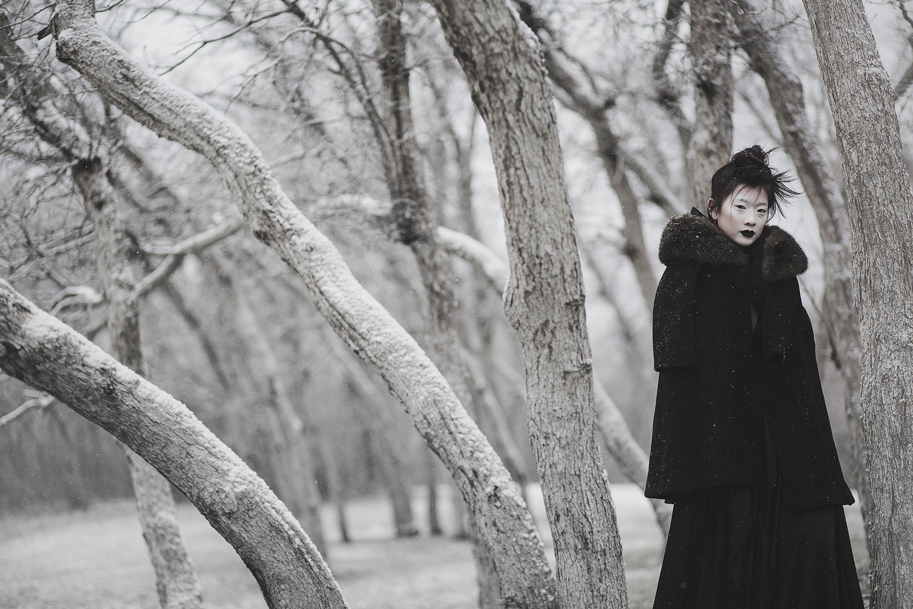 © duston todd_fashion_asian_trees_coat_snow_003.jpg