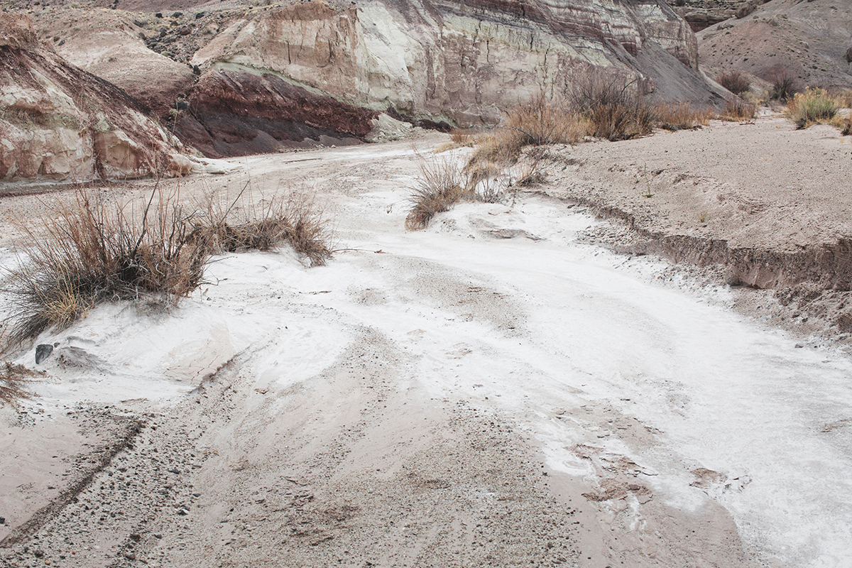 © duston todd_capitol reef_desert_painterly_web.jpg