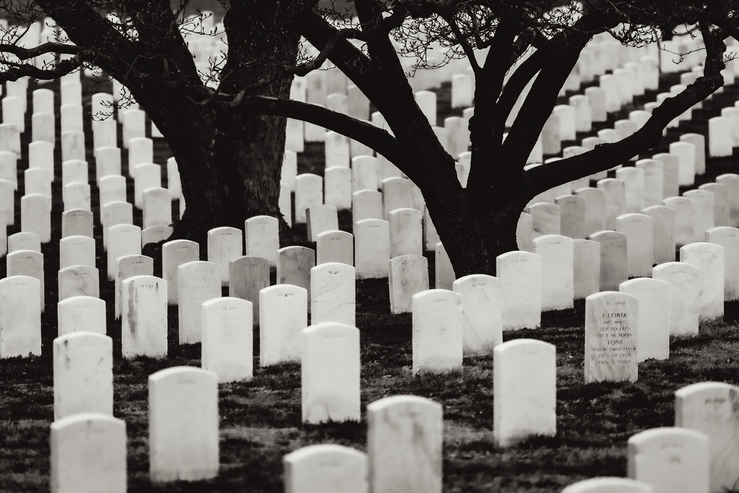 © duston todd_arlington_cemetery_004.jpg