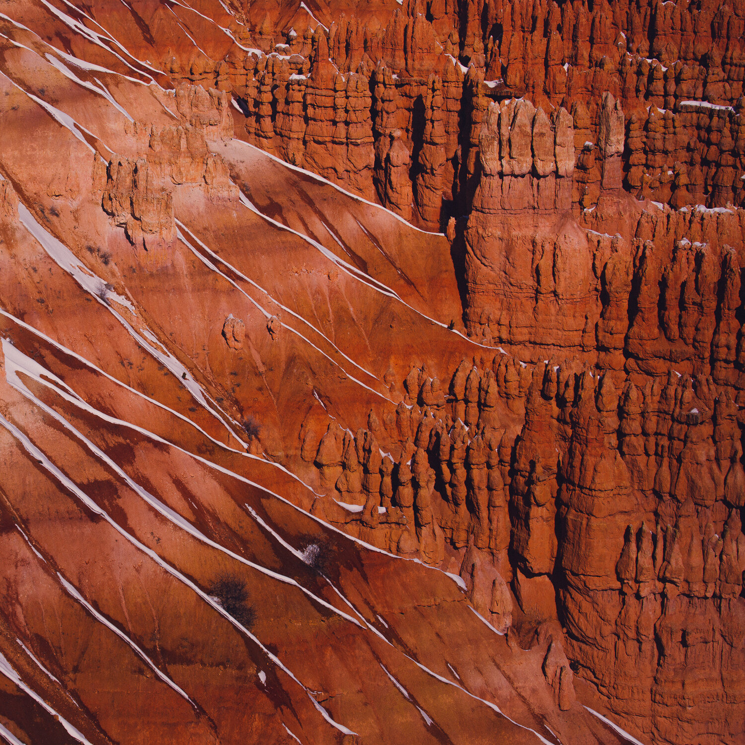 © duston todd_bryce canyon_desert_painterly_007.jpg