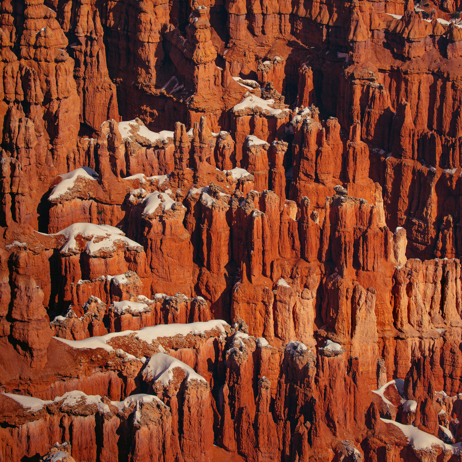 © duston todd_bryce canyon_desert_painterly_012.jpg