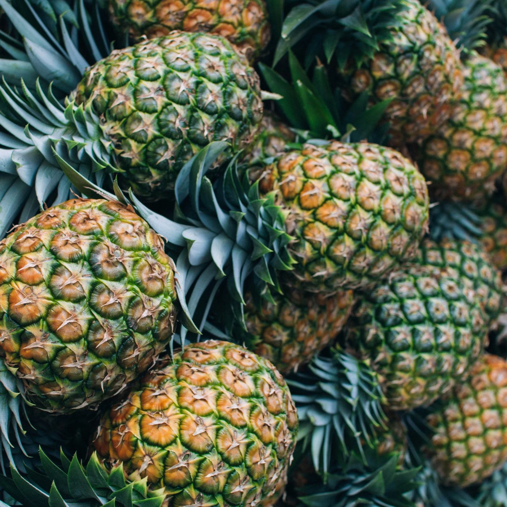Maria fernanda gonzales/unsplash