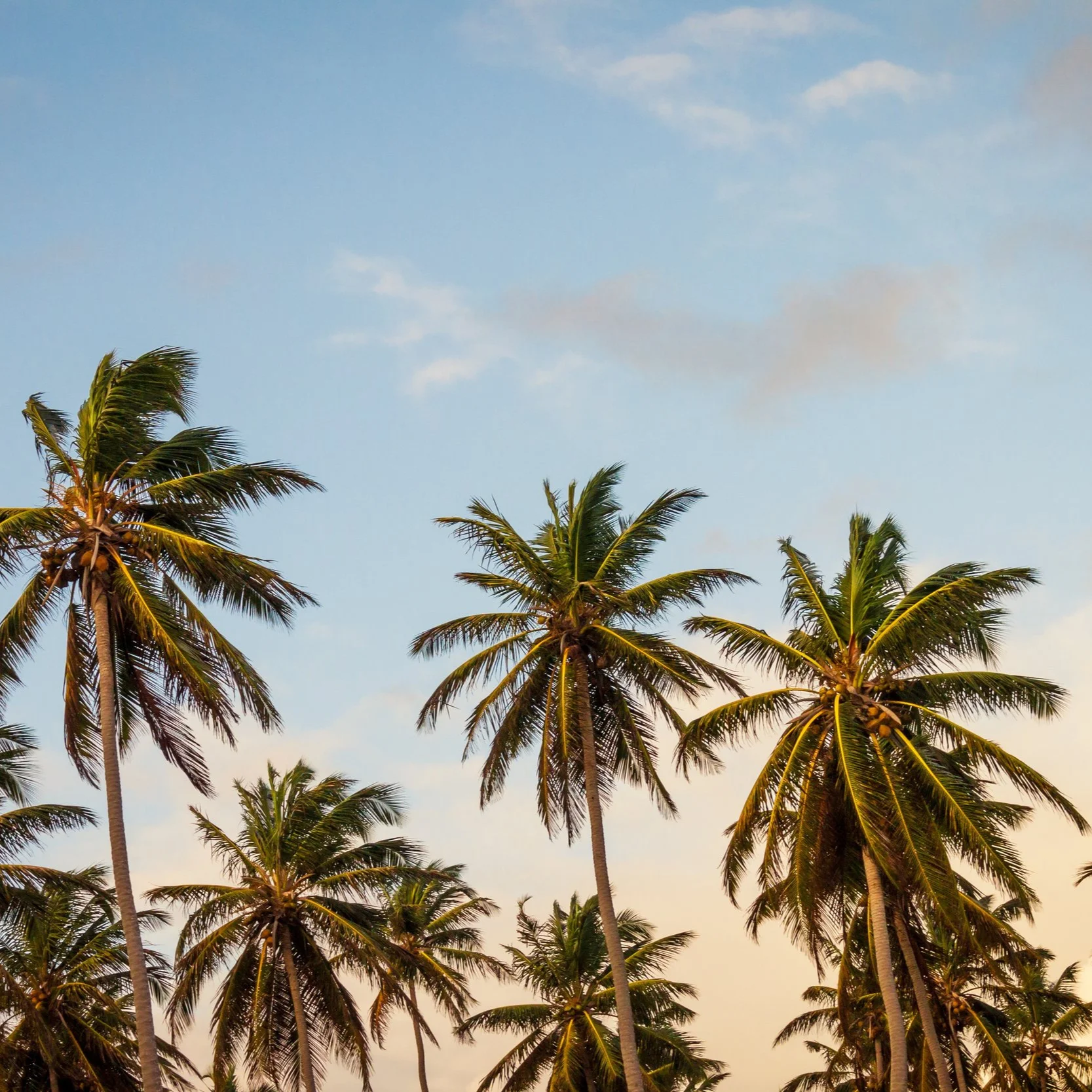 thomas lefebvre/unsplash