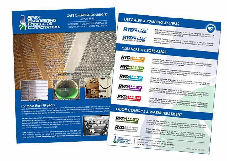 Apex_flyer design.jpg