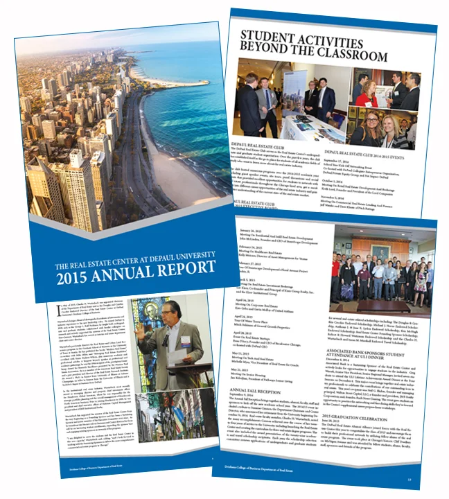 DePaul_2015 report design.jpg
