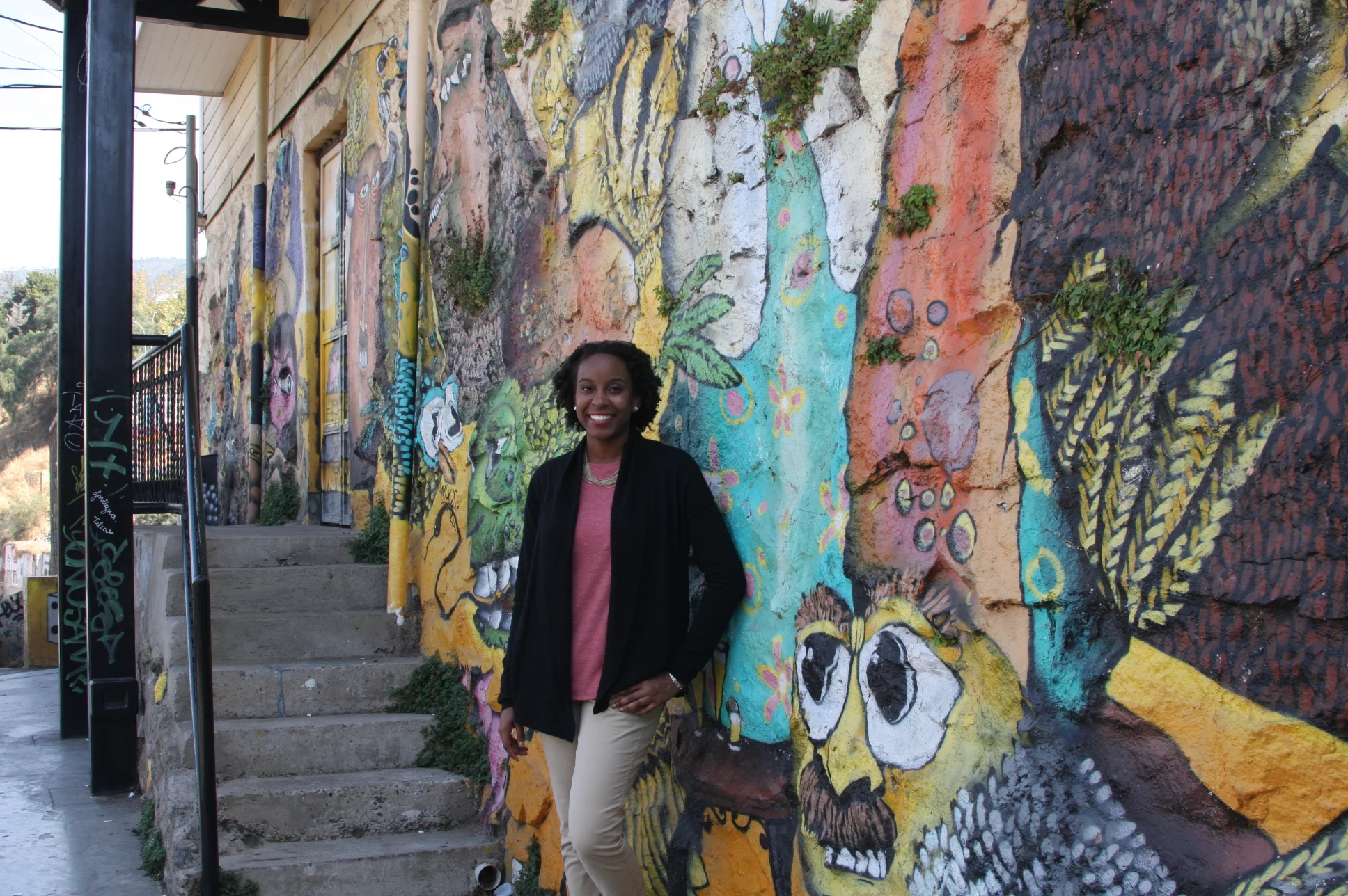 How I decided to study in Chile