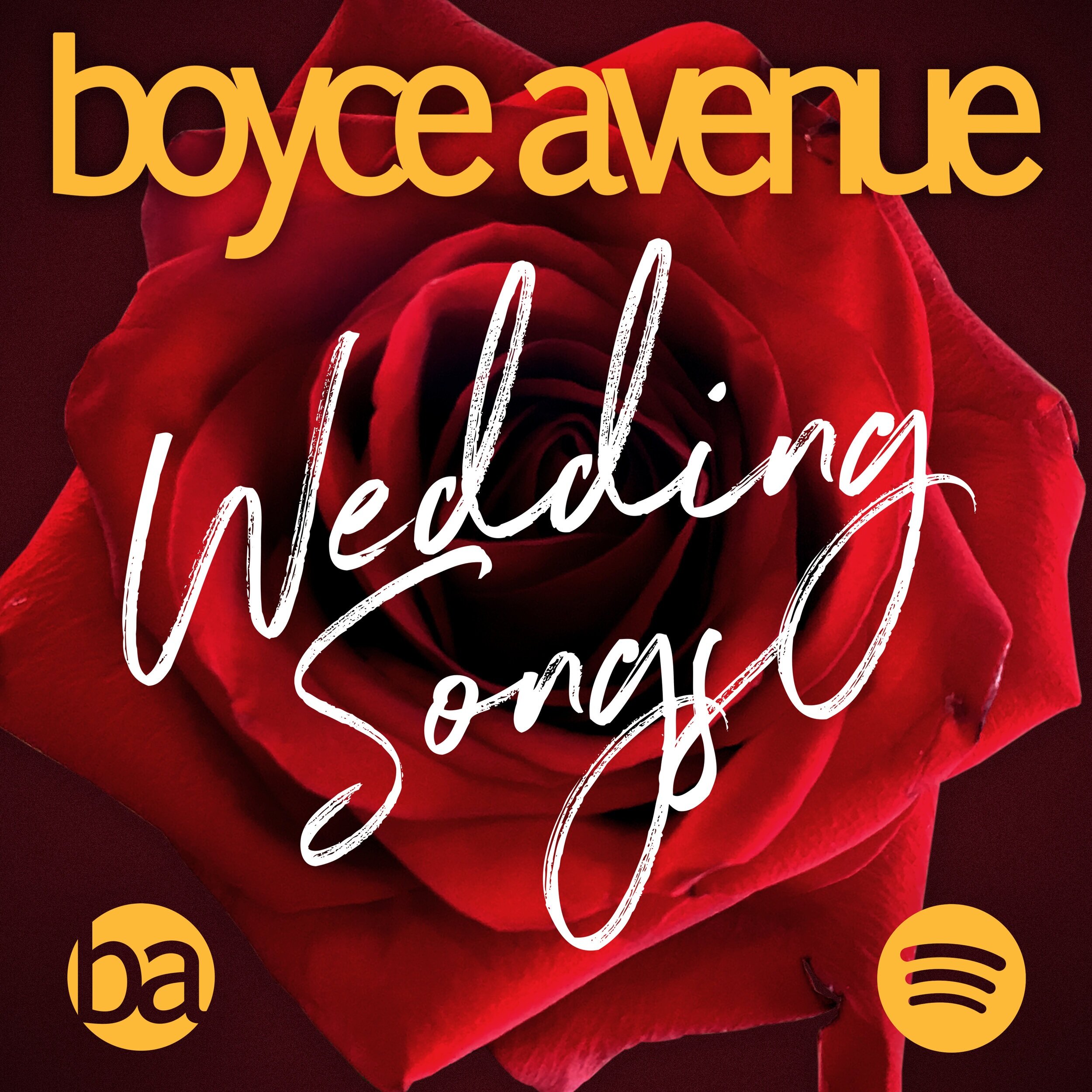 Boyce Avenue Acoustic Cover Love Songs and Wedding Songs - Boyce Avenue  Full Album 2023 