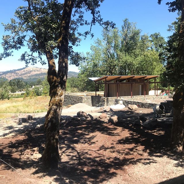 The &ldquo;chickencoopshed&rdquo; and greenhouse are starting to come together at the Cat&rsquo;s Ear Savannah residence in Eugene.  Note the scaled down steel roof beams that mimic those in the main house, and the board formed concrete and tile inse