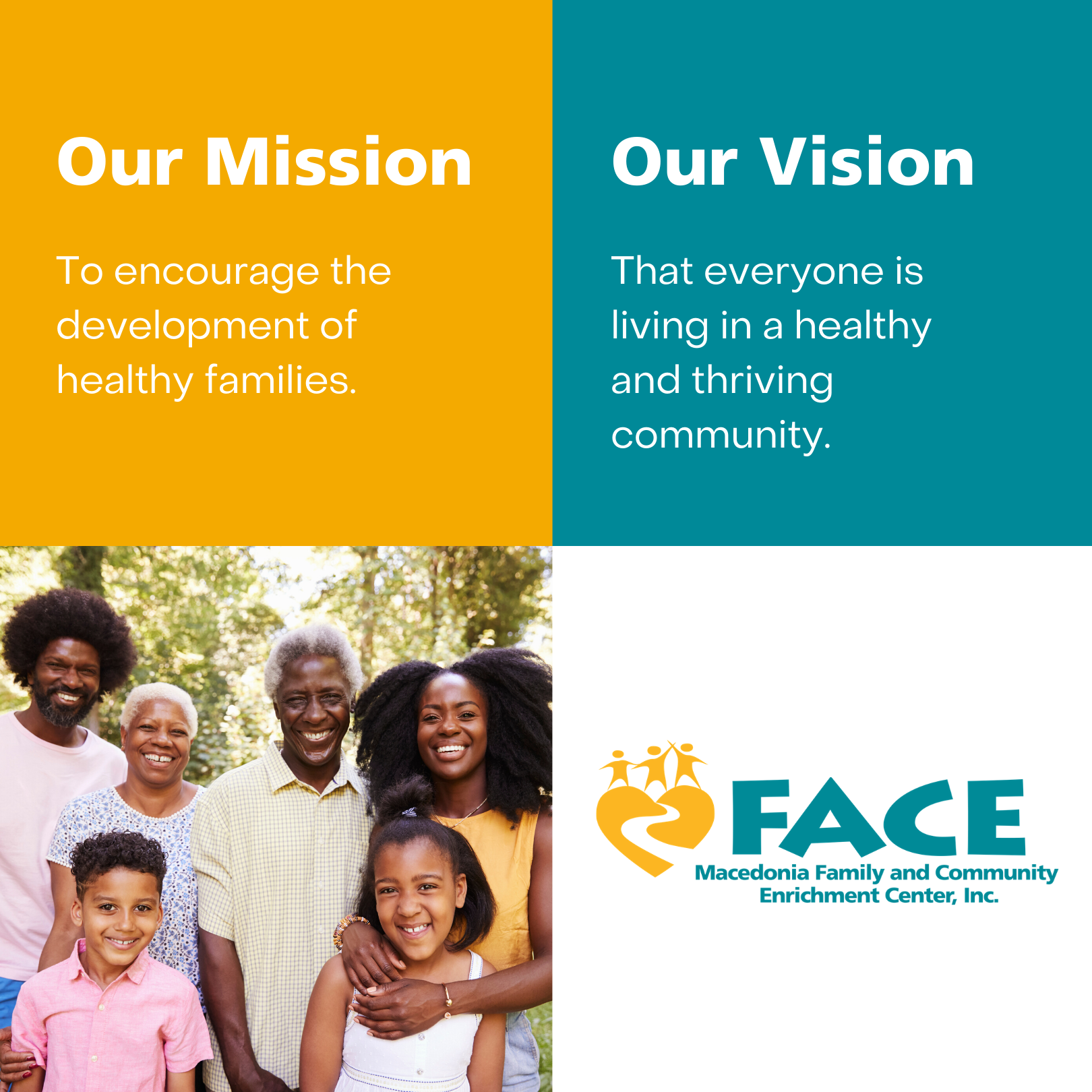 Mission Vision FACE Instagram.png