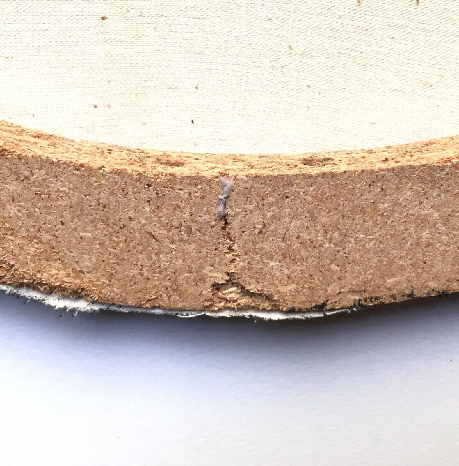 Break in Backing.jpeg