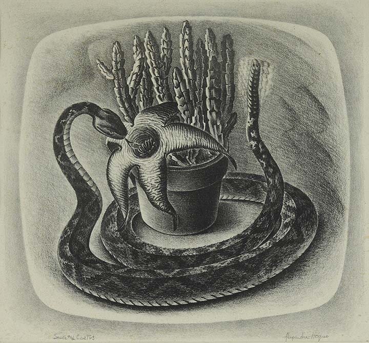 Snake and Cactus.jpeg