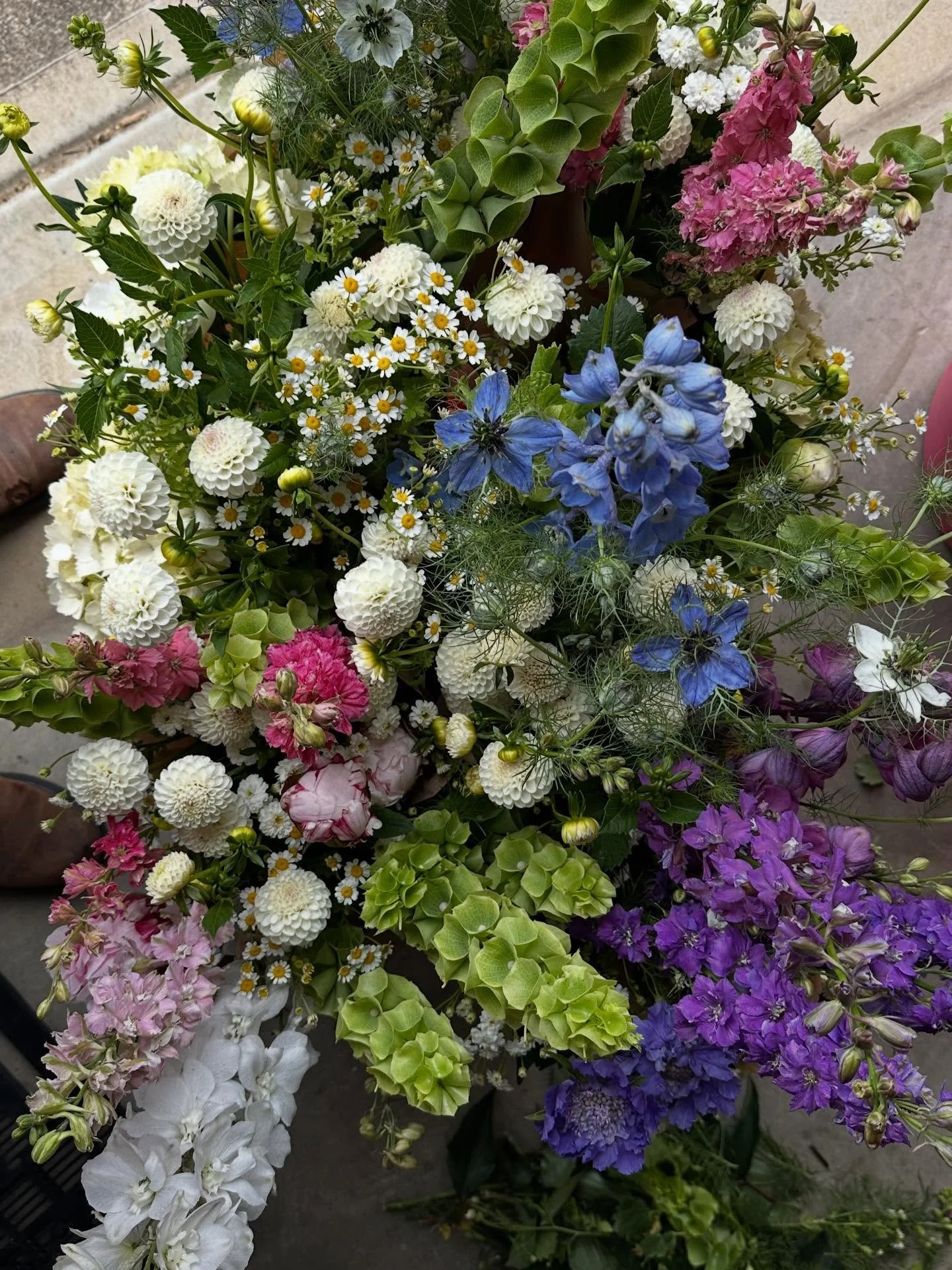 Late November&hellip; not sure how but here we are

1) Flowers, but not enough to open for PYO just yet. Bunches available @emma_and_ivy while stocks last.
2) Overwintered dahlias are up and popping, as is the larkspur.
3) Little Angel is the first d