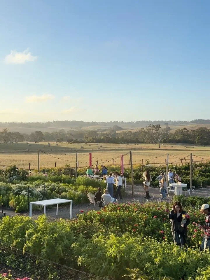 It&rsquo;s mid January and you&rsquo;re picking your own flowers in the Adelaide Hills. Do you know how good it feels out here? 

I absolutely love chatting to everyone and seeing what blooms you choose at a Pick Your Own. The individual creations th