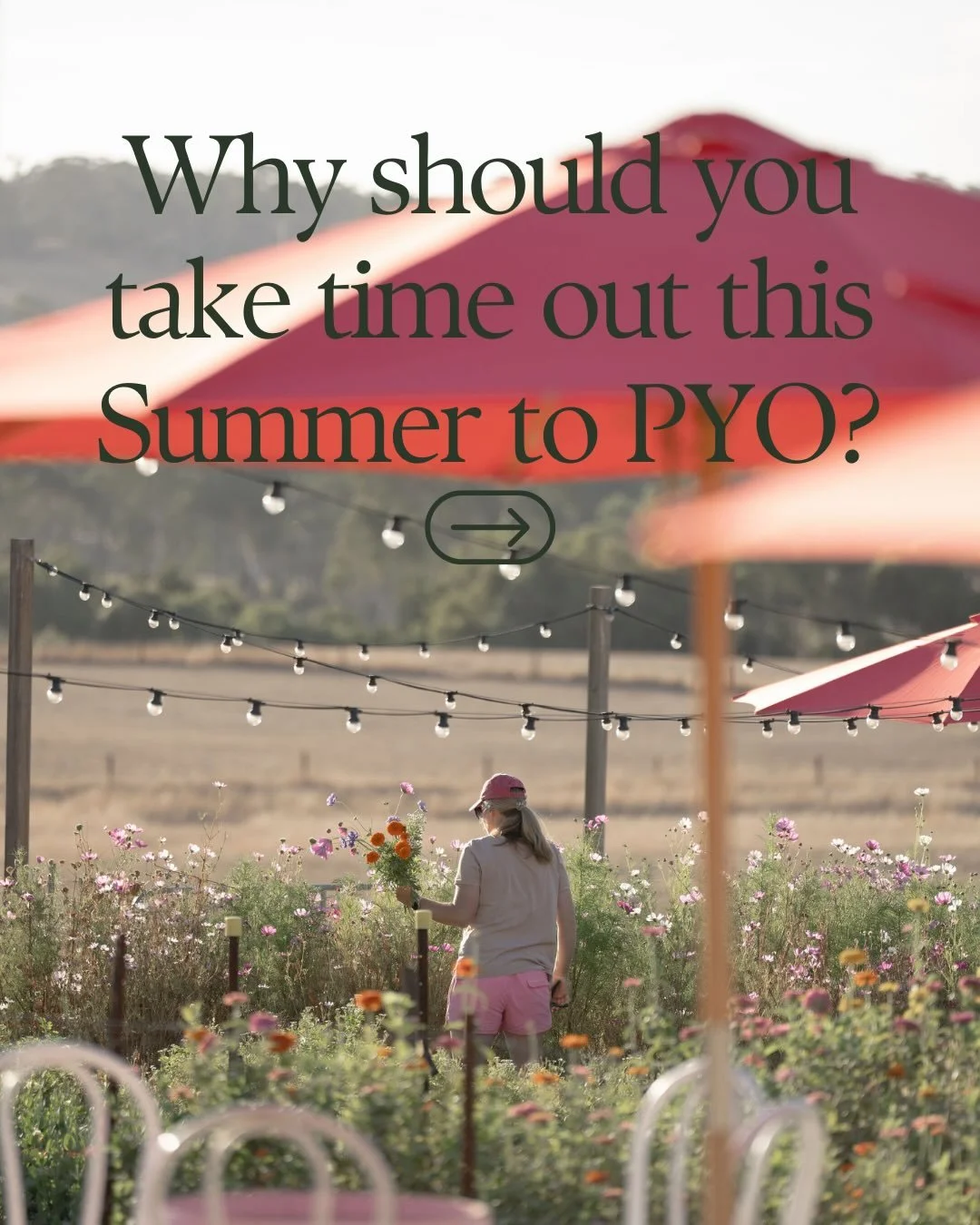 I mean why wouldn&rsquo;t you! 

More Pick Your Own dates are available on the website including a couple of Snip + Sip options (31st Jan and V day💕) so please visit the website to book (link in bio).

As always further sessions will be added as the