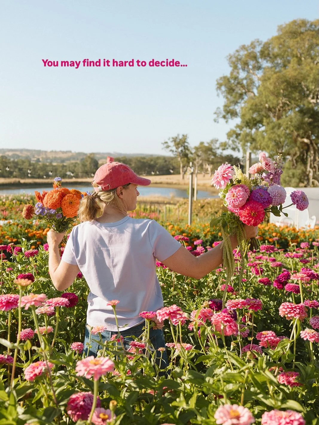 The blooms are blOOming in March so why not immerse yourself in them! 

This is most likely going to round out the PYO season for us, so if you&rsquo;re hoping to see the patch in full bloom now is a great time to visit. 

Standard PYO sessions and t