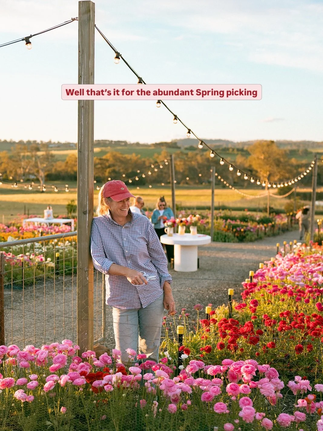 Spring flowers aren&rsquo;t around forever, and after 4 weeks of picking (with some wild weather thrown in) it is now time to reset the patch for the warmer months ahead. This means PYO bookings are currently on hold while the patch is replanted with