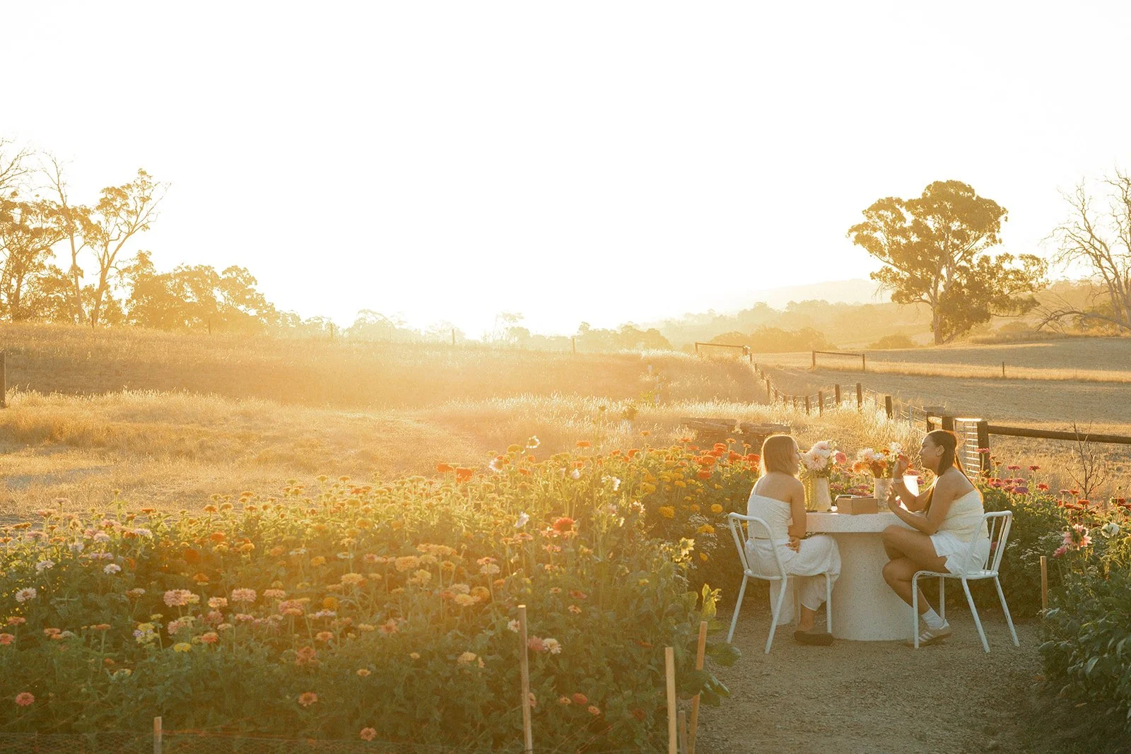 Snip and Sip Pick Your Own flowers at Charleston Farm