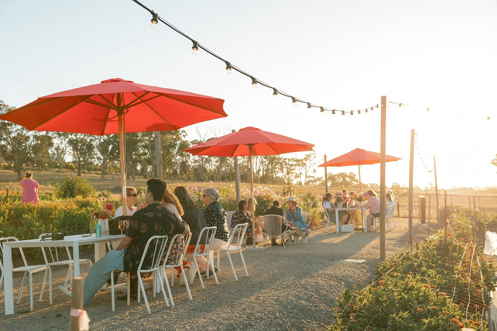 Snip and Sip Pick Your Own flowers at Charleston Farm