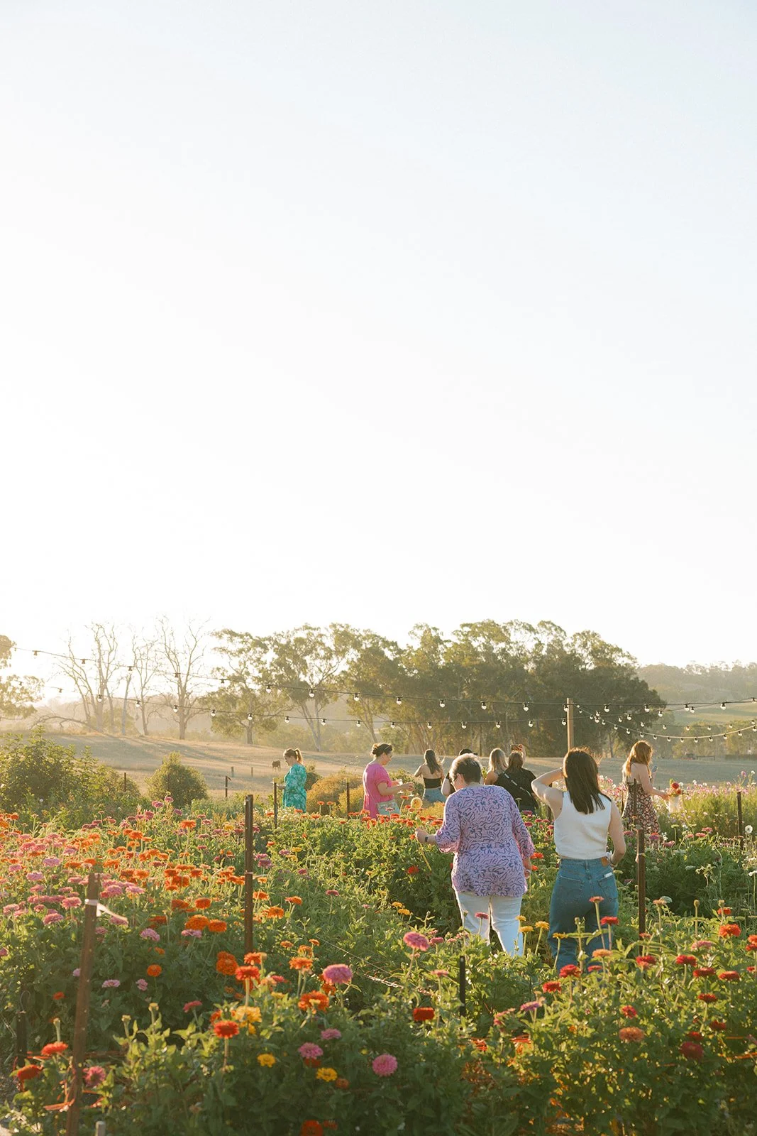 momentsbymaddy-110.jpg