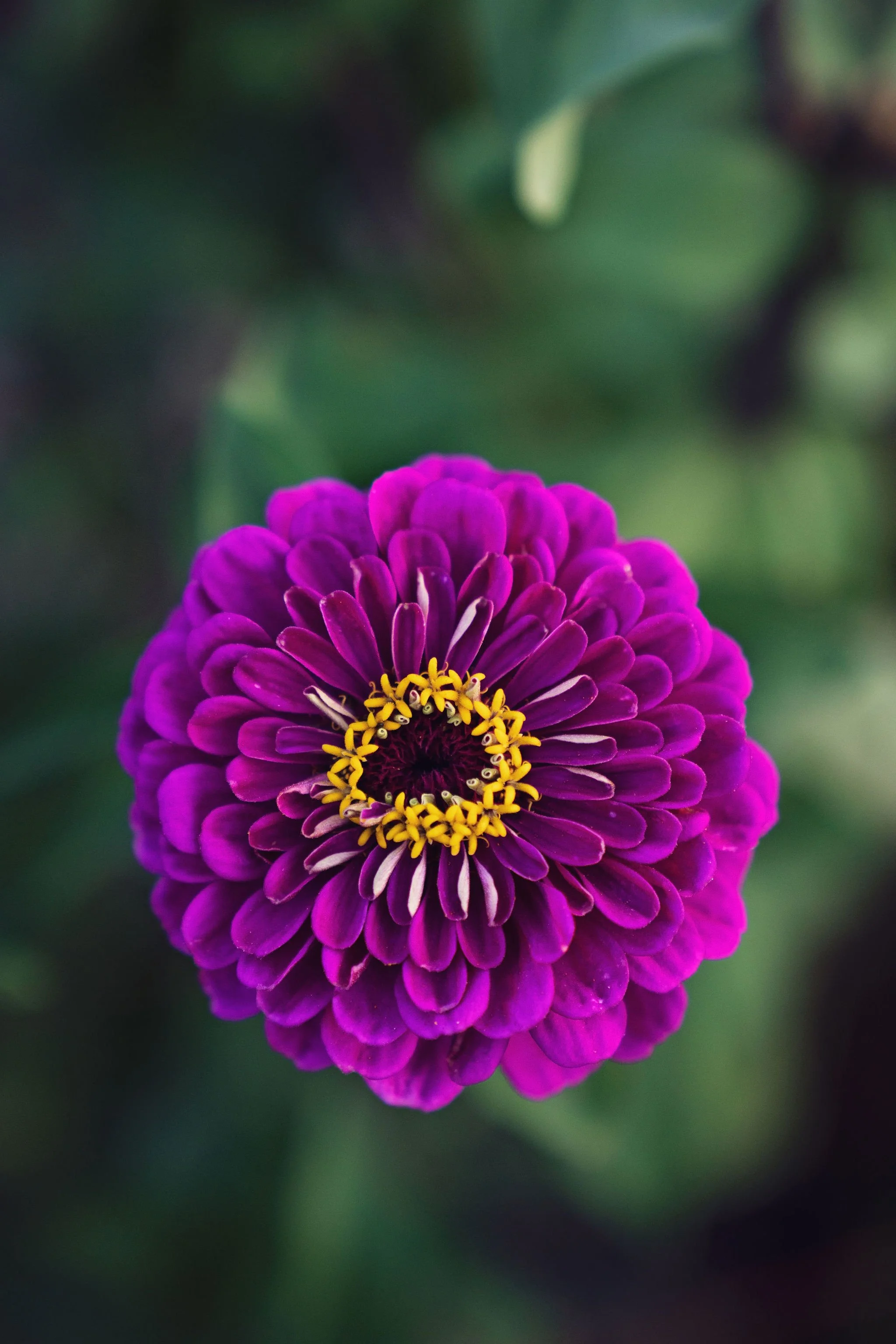 Brad Griffin Photography 2024