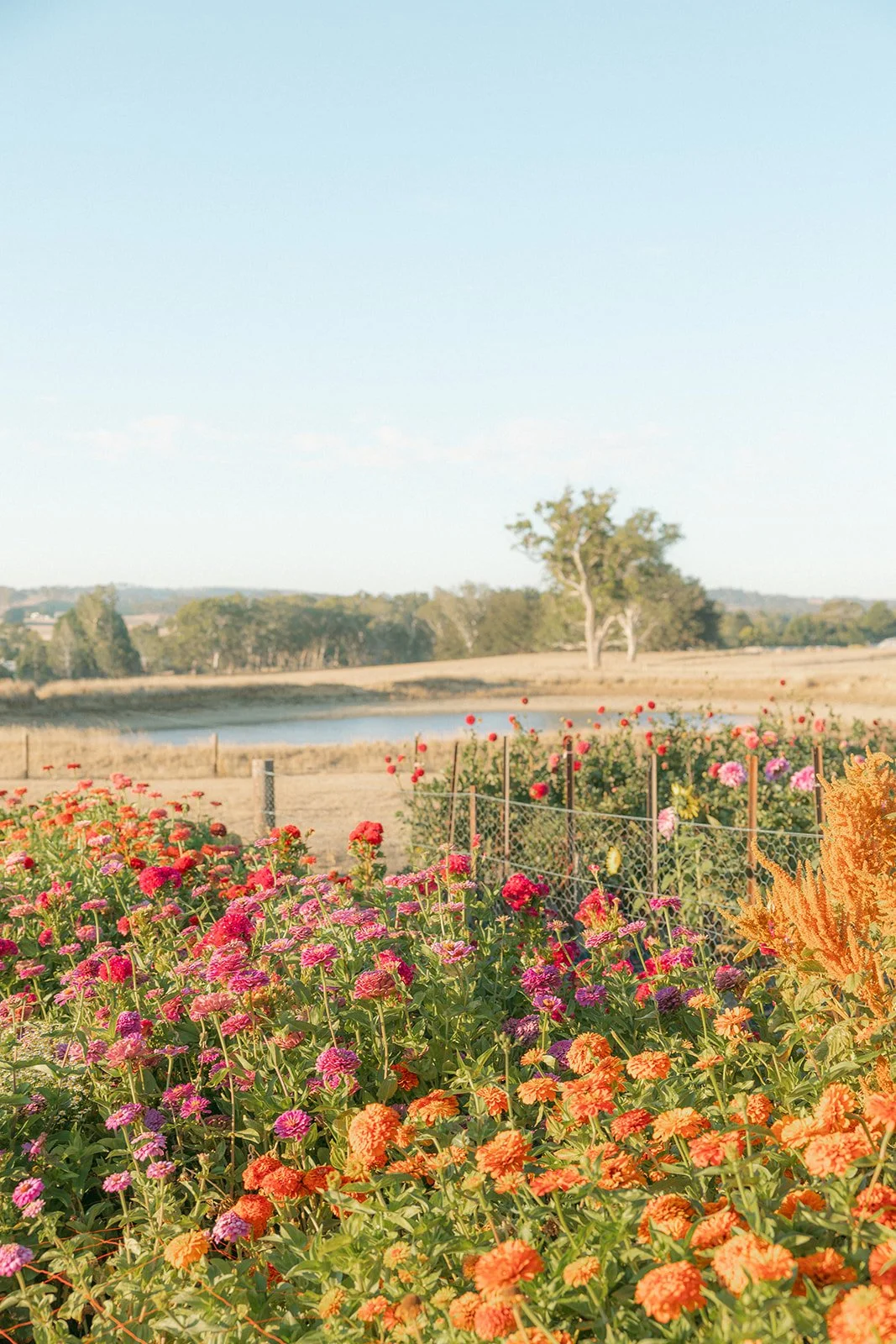 momentsbymaddy-15.jpg