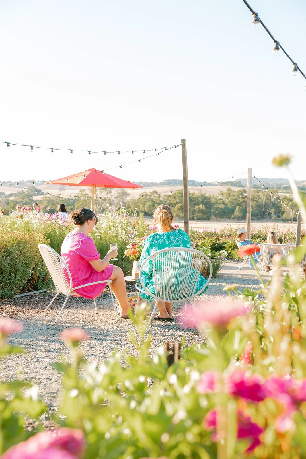 Snip and Sip Pick Your Own flowers at Charleston Farm
