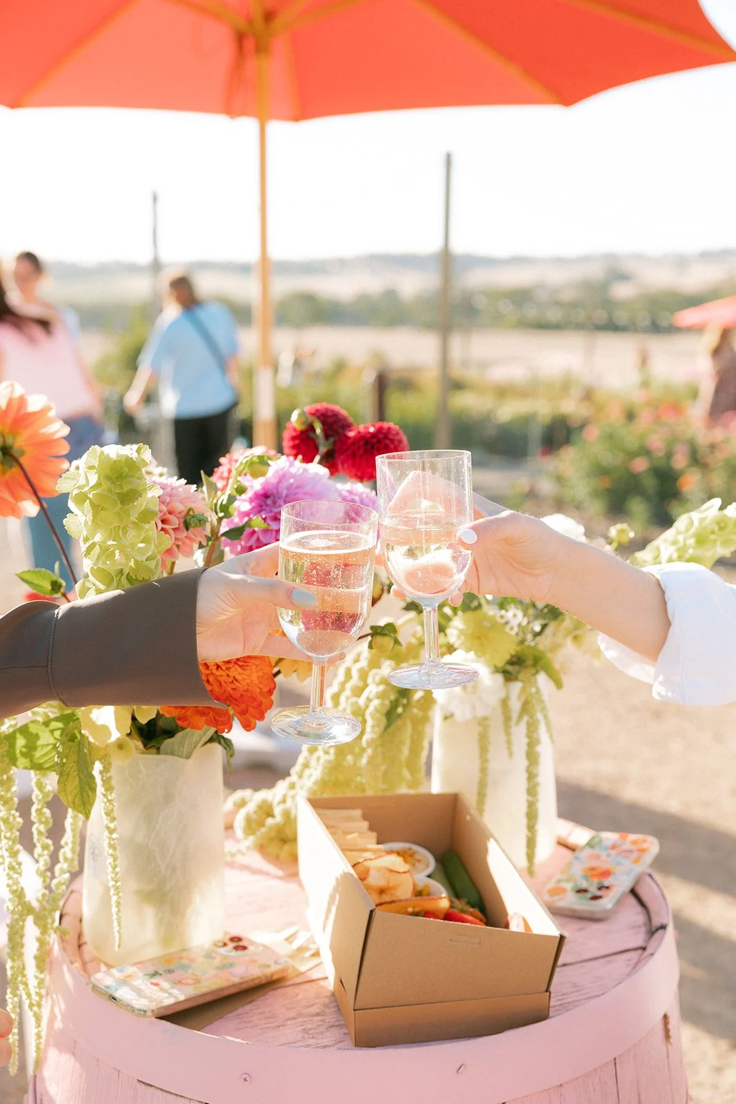 Snip and Sip Pick Your Own flowers at Charleston Farm