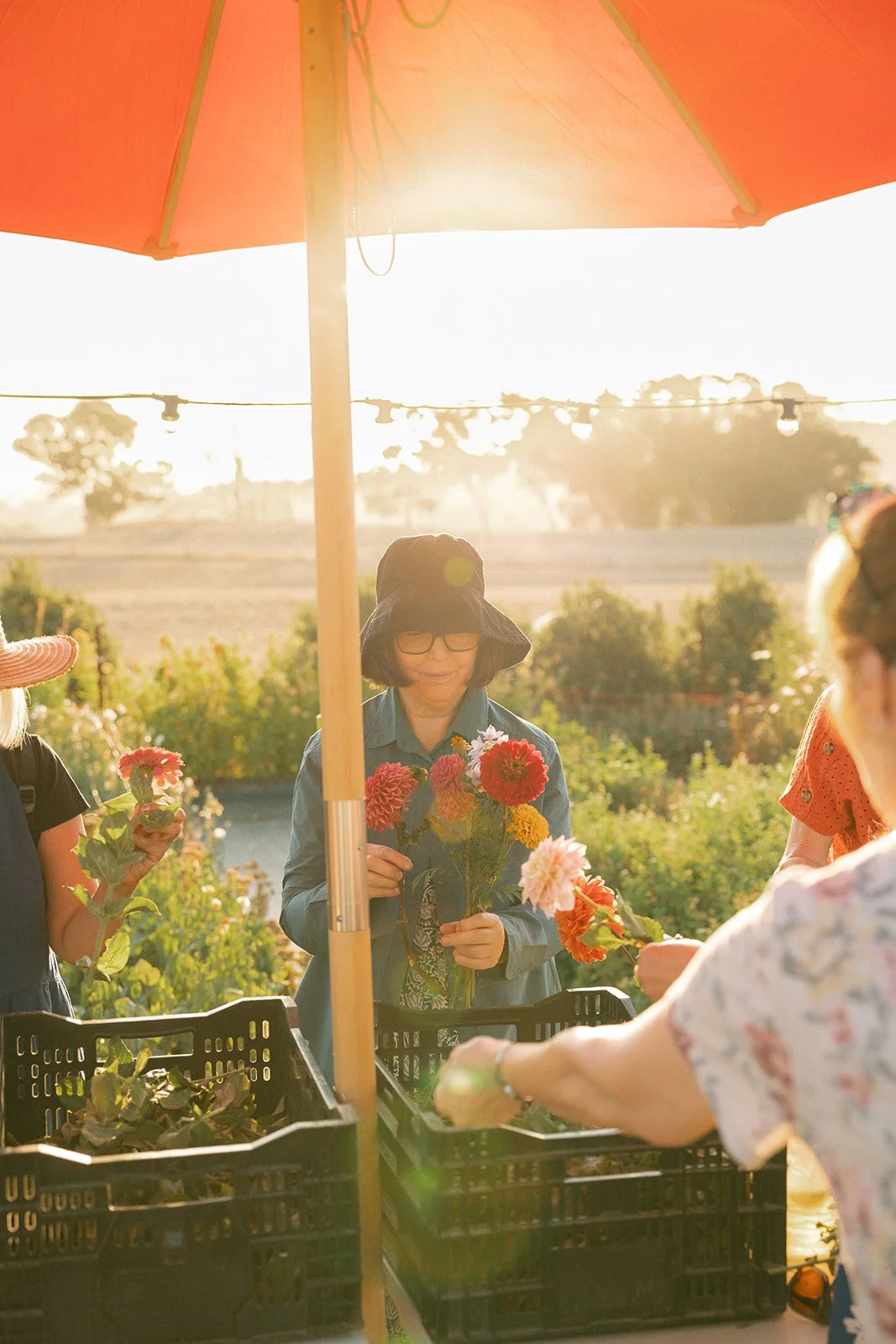 momentsbymaddy-77.jpg