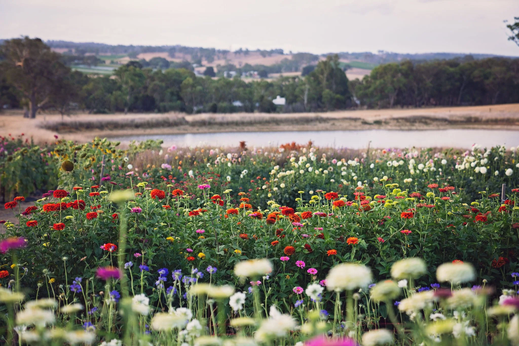 Brad Griffin Photography 2024