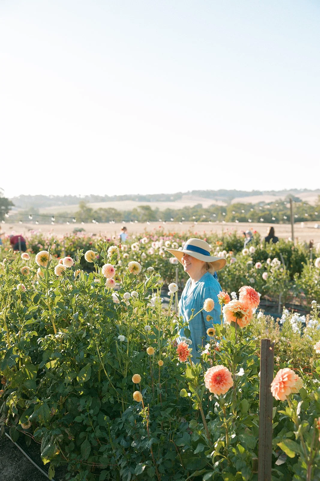 Snip and Sip Pick Your Own flowers at Charleston Farm