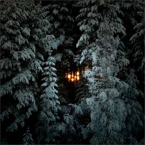 Stopping by Woods on a Snowey Evening - Robert Frost
