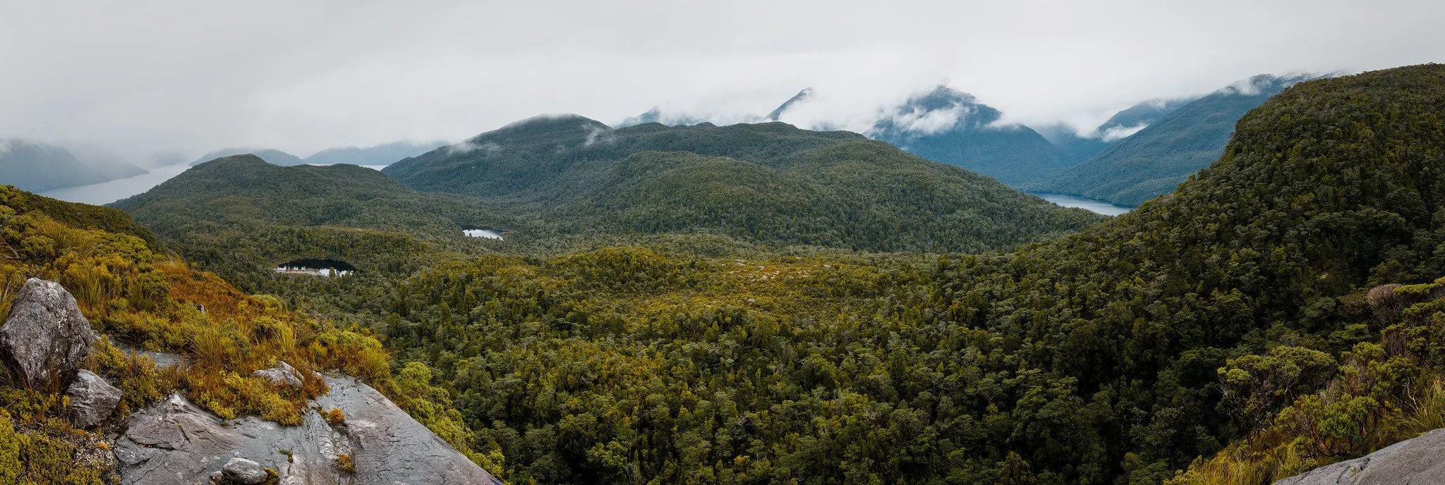 Ao-ata-te-pō / Cooper Island - Pano