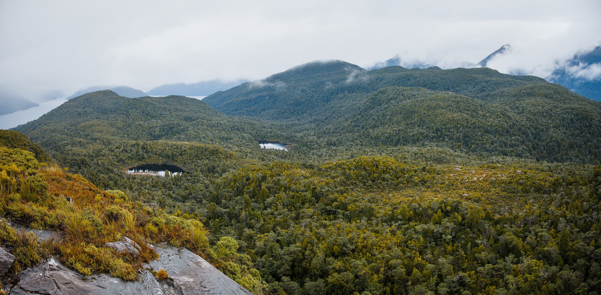 Ao-ata-te-pō / Cooper Island - Pano
