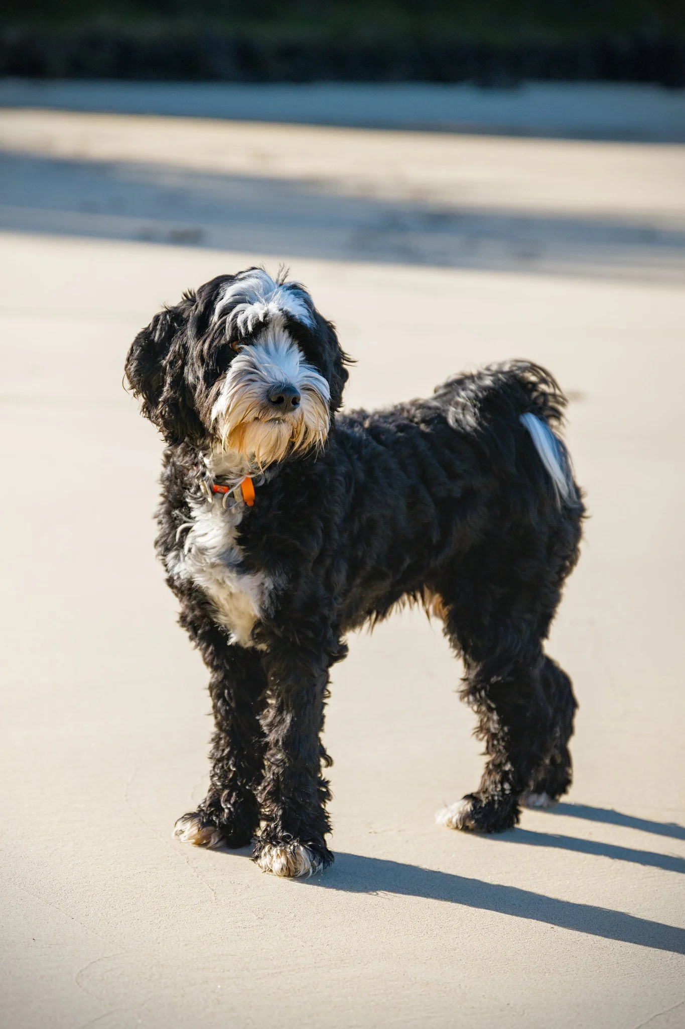 Hurley
