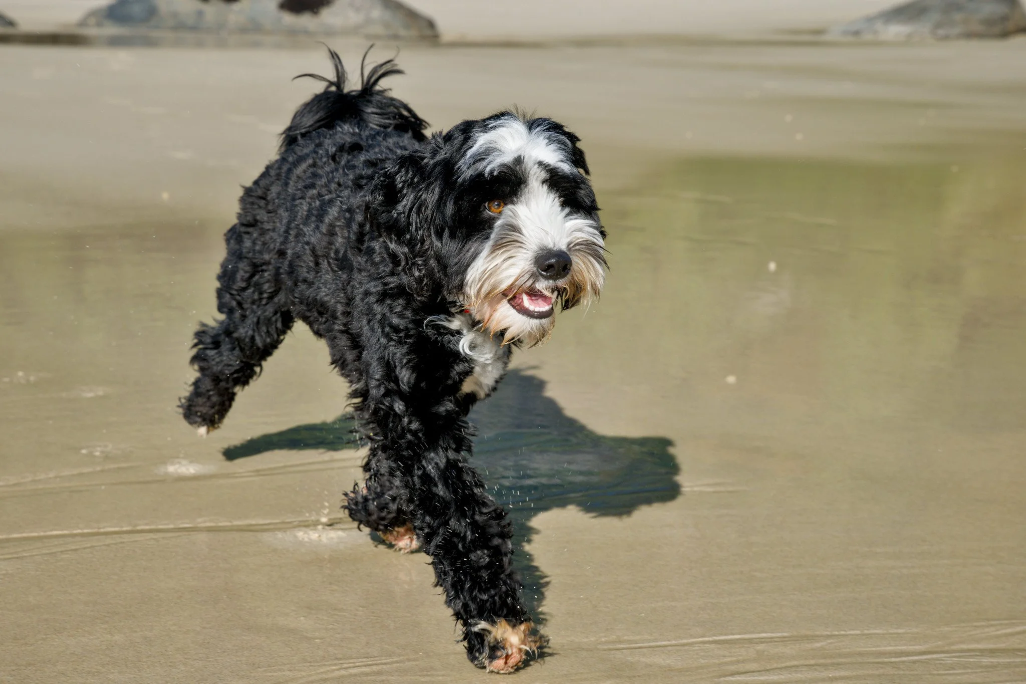 Hurley