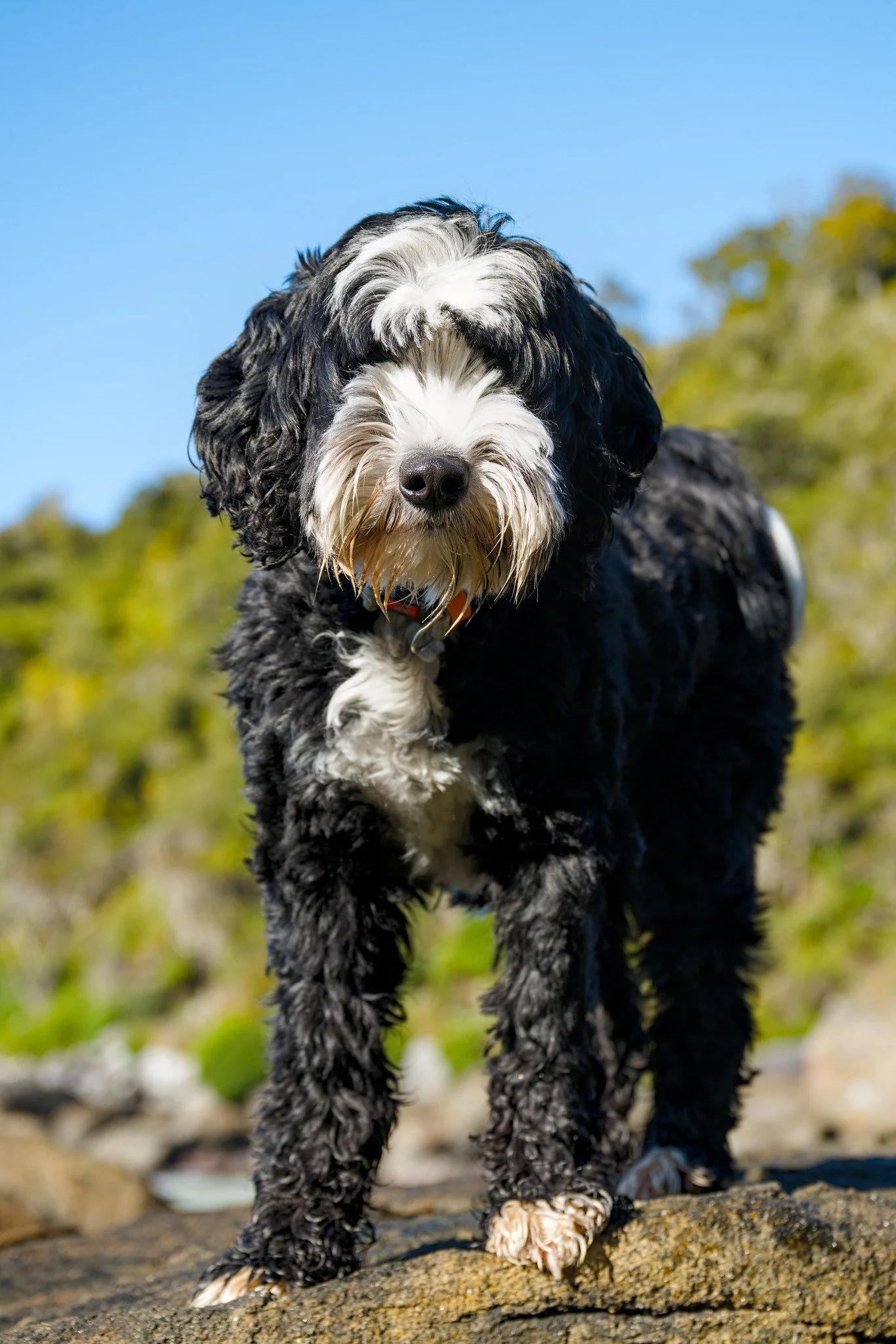 Hurley