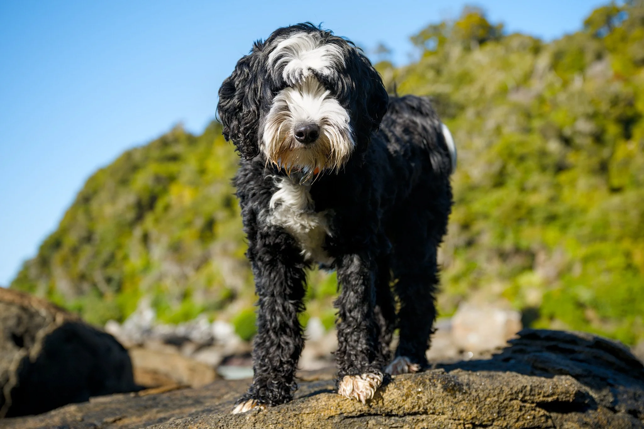 Hurley