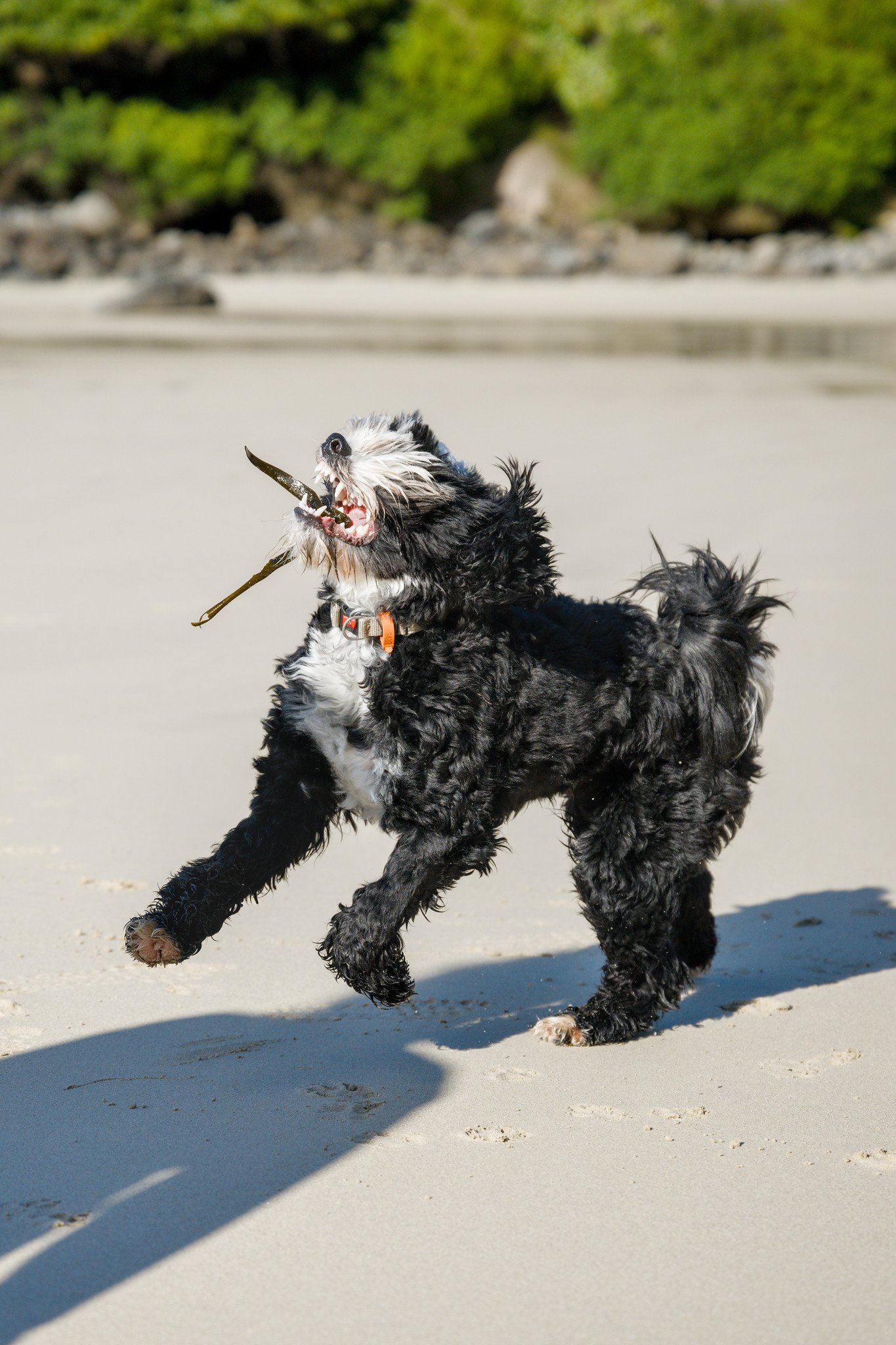 Hurley