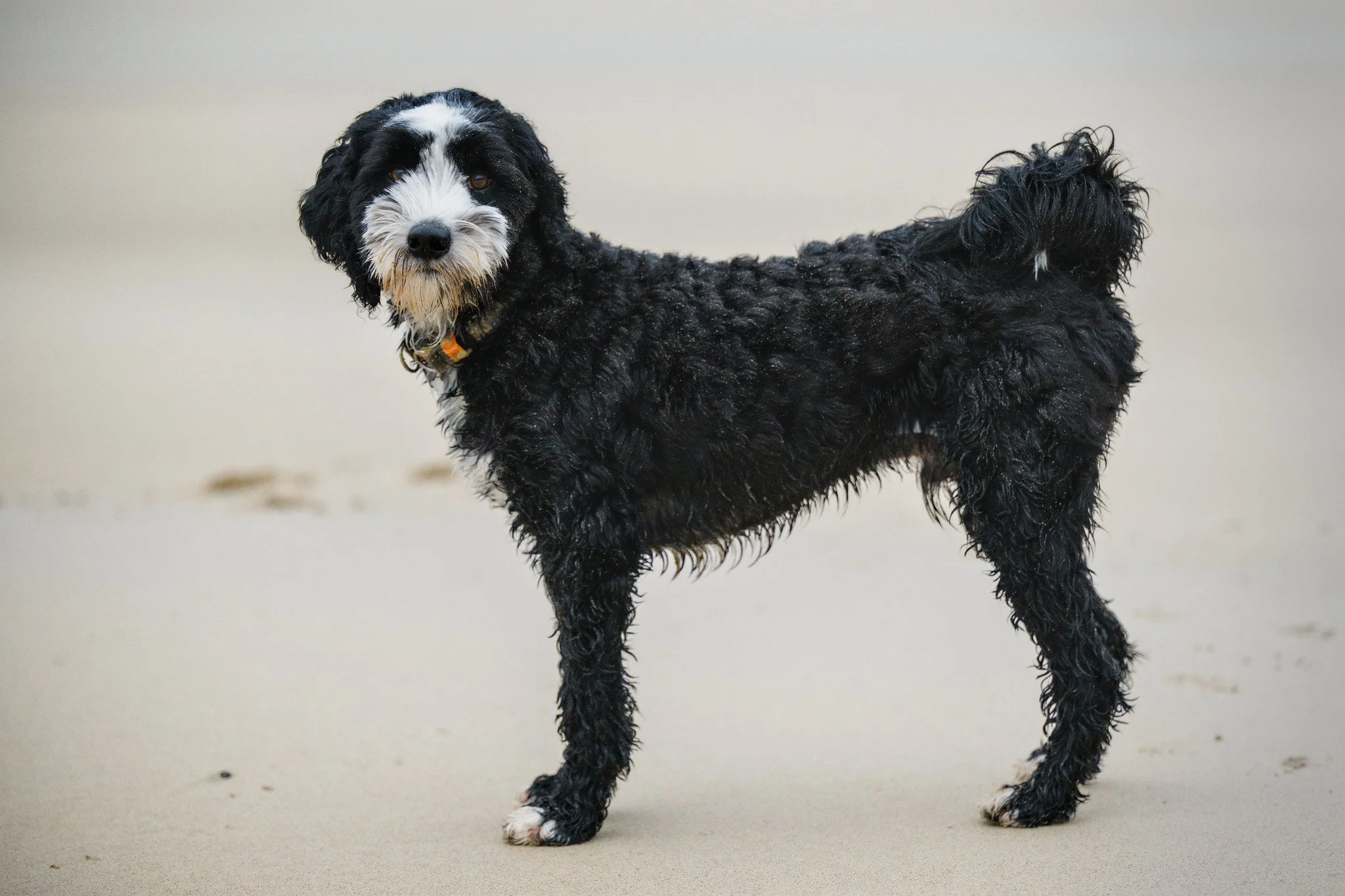 Hurley