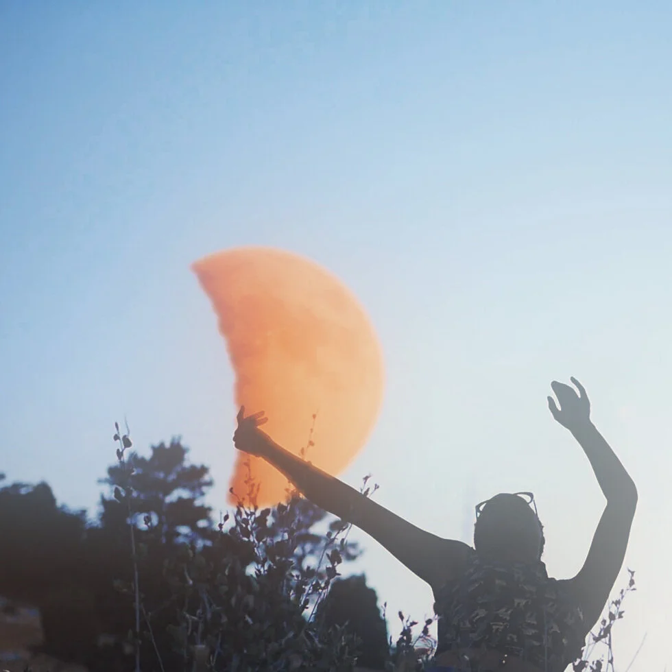 Everything is MUSIC VIDEO.00_02_12_20.Still025.jpg