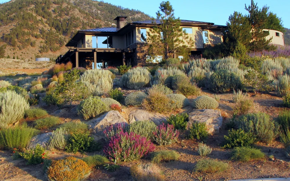 Gallery Green Lizard Landscape Llc