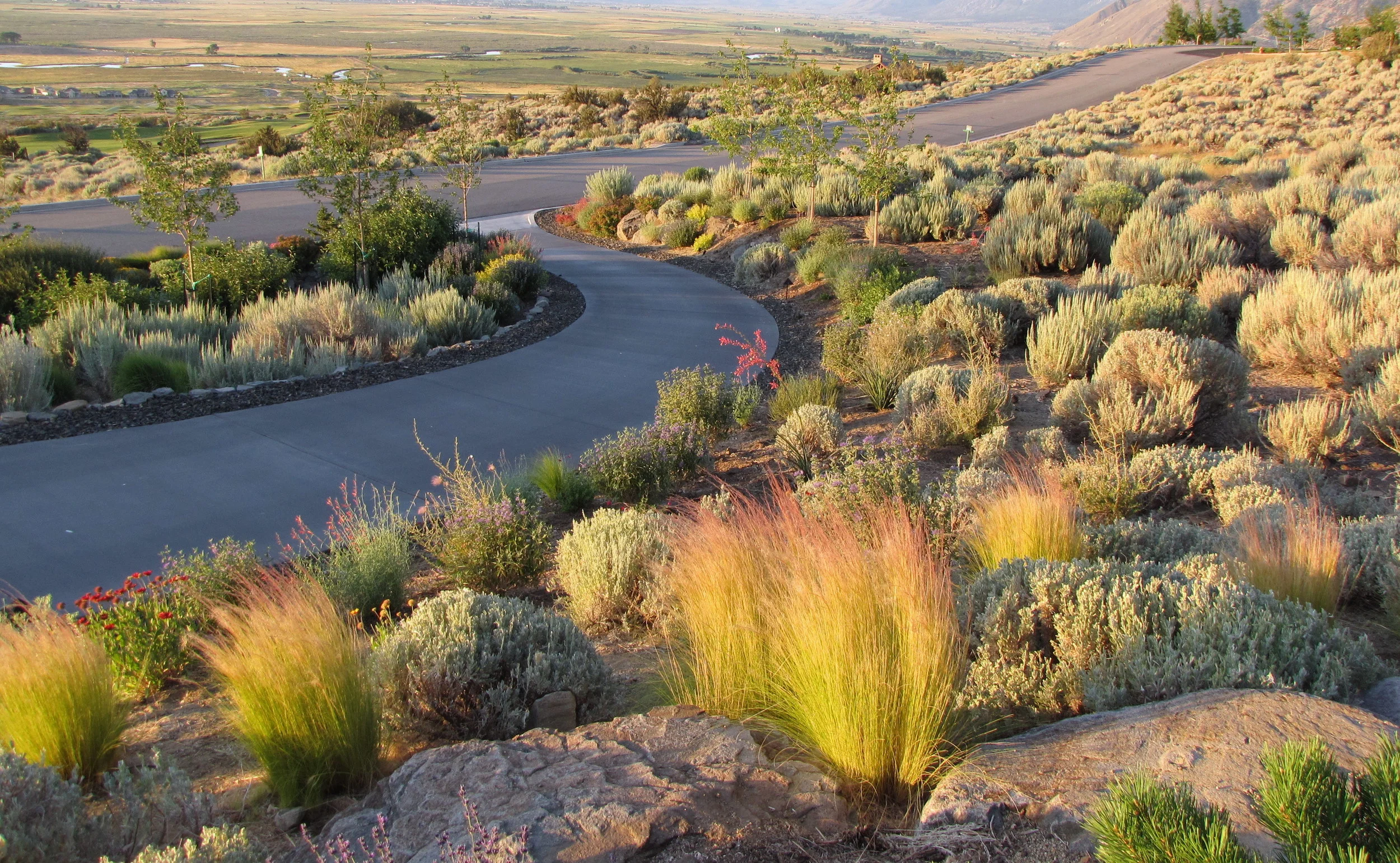 Carson-City-Landscaping.JPG