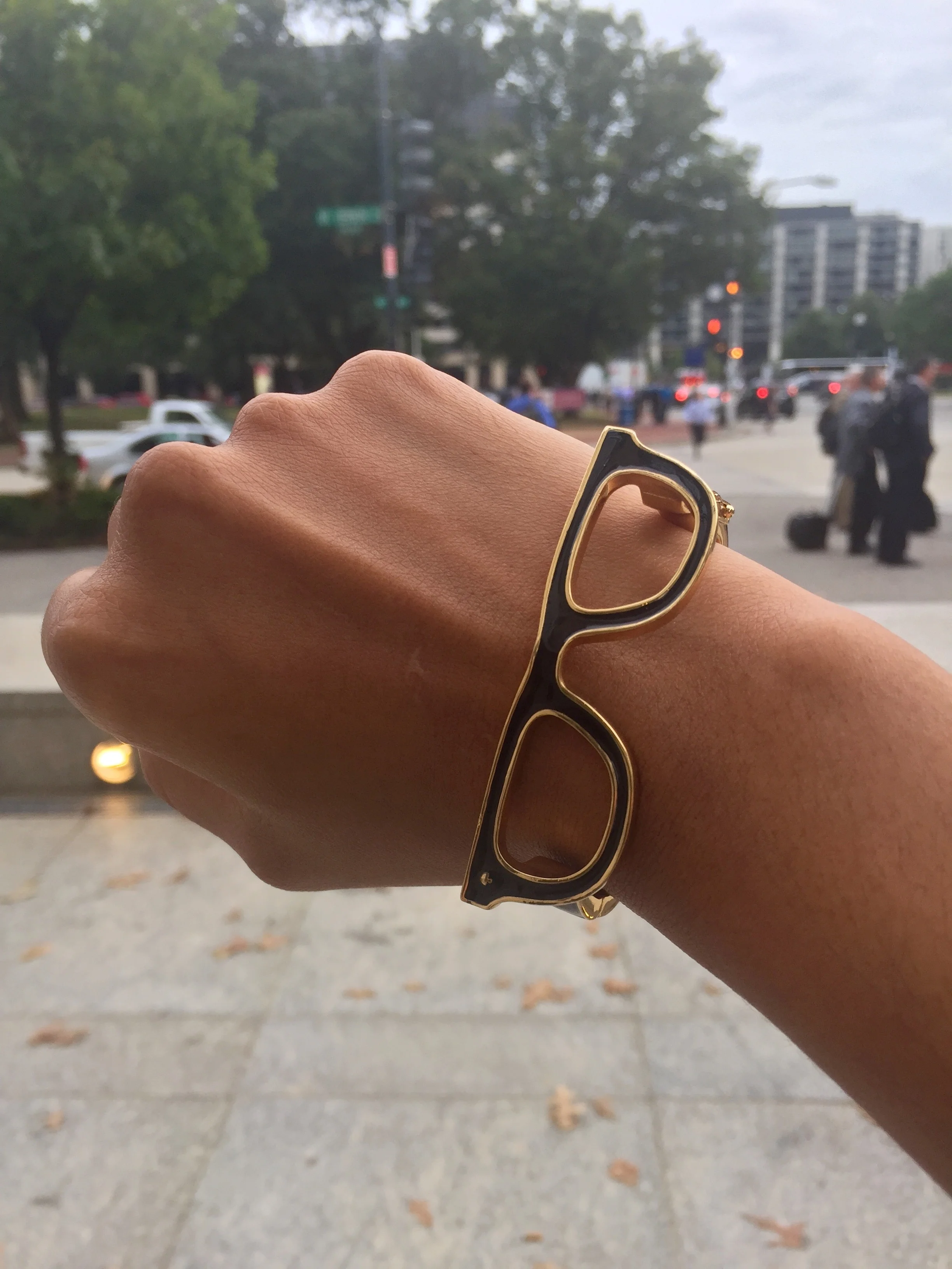 Dra. Swamy with her bespectacled bangle in D.C.