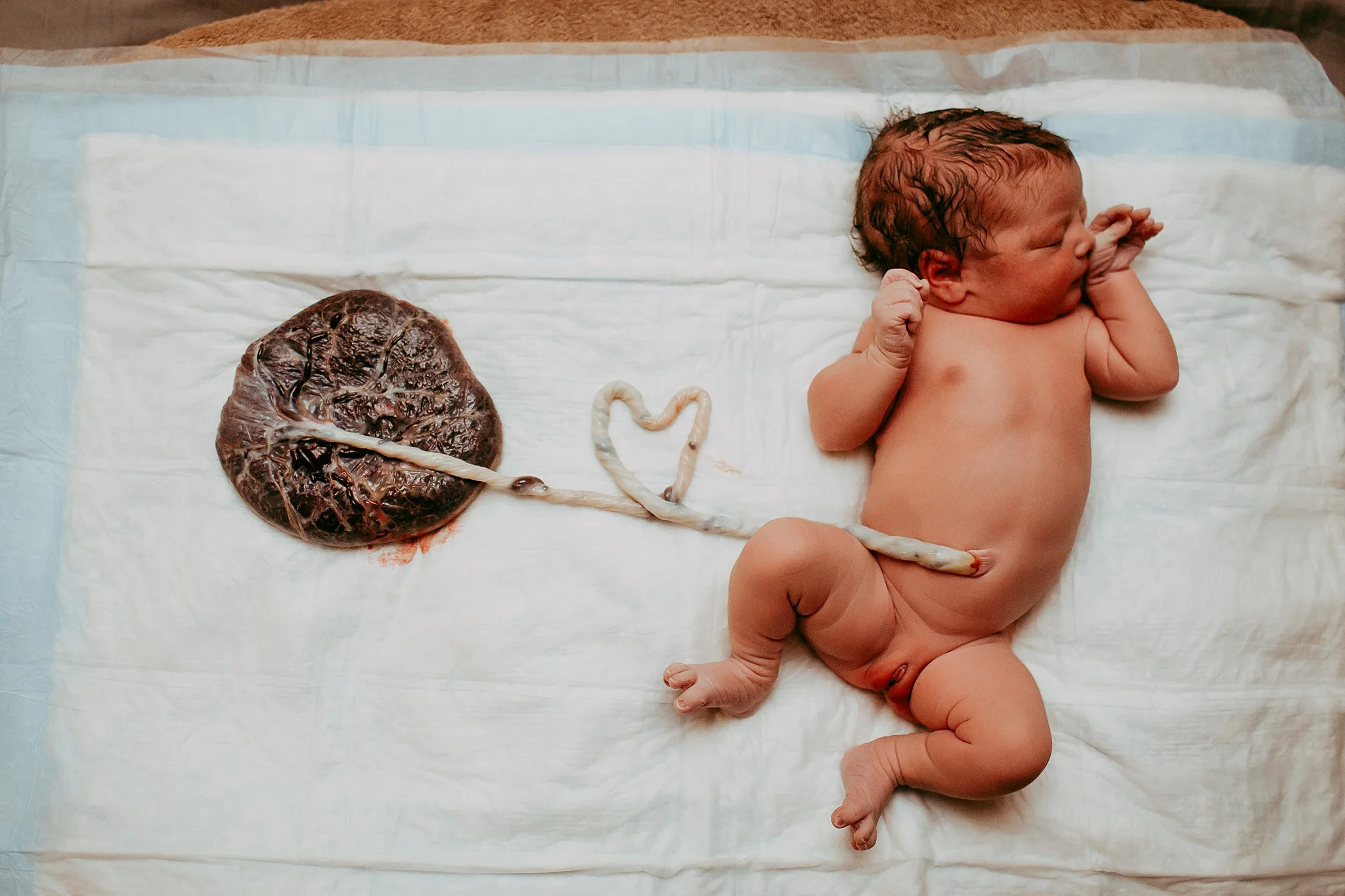 Artemis-San-Antonio-Birth-Photographer-132_WEB.jpg