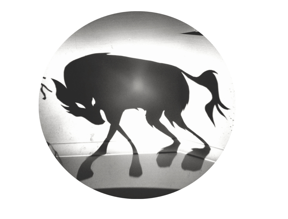 Aesop's Fables