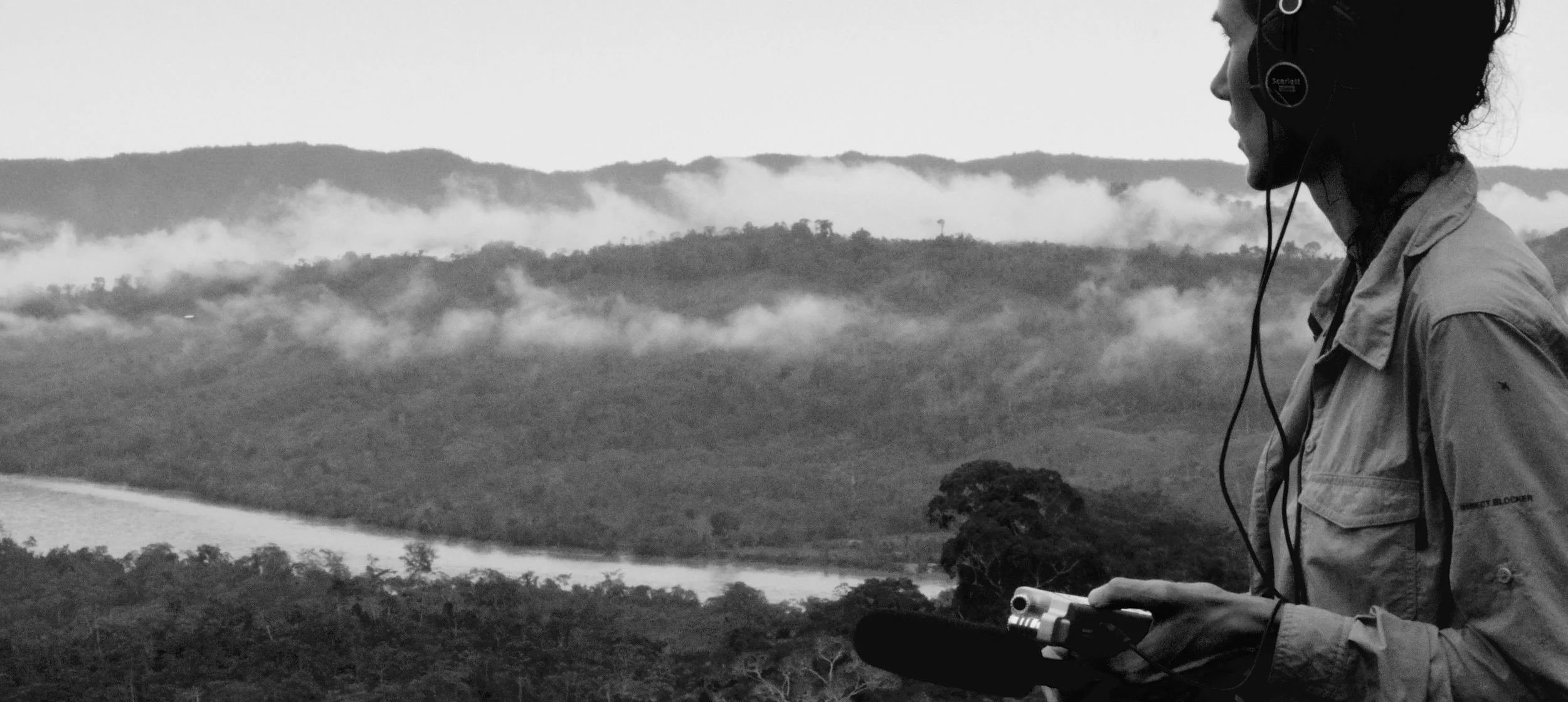 In The Cloud Forest is a set of pieces composed in tandem with video of microscopic images that ultimately began via a friendship with biologist Dr. Arnaud Martin. During the fall of 2015 I received a generous invitation to spend a month in Peru with Martin and a team of researchers from UC Berkeley on a collaborative project with scientists from The French National Center for Scientific Research. They brought me on as an assistant on a field research and collecting trip. We spent a lot of time together in the field, and I was able to spend time recording as well. Before and after the trip I spent a number of late nights imaging in the lab. Below are several images of butterfly scales taken at that time. We have brainstormed many approaches to a collaboration together, along the way involving others on a film project. However, In The Cloud Forest has been several years in the making, and is still in the creation and development phase. In the end my aim is to demonstrate overlaps in complimentary as well as divergent thinking dispositions in the arts and sciences. Working closely over long periods of time with scientists has deepened my curiosity as as artist and my appreciation of the natural world. More soon, but for now click here for a Soundcloud sample recording from the cloud forests of Peru