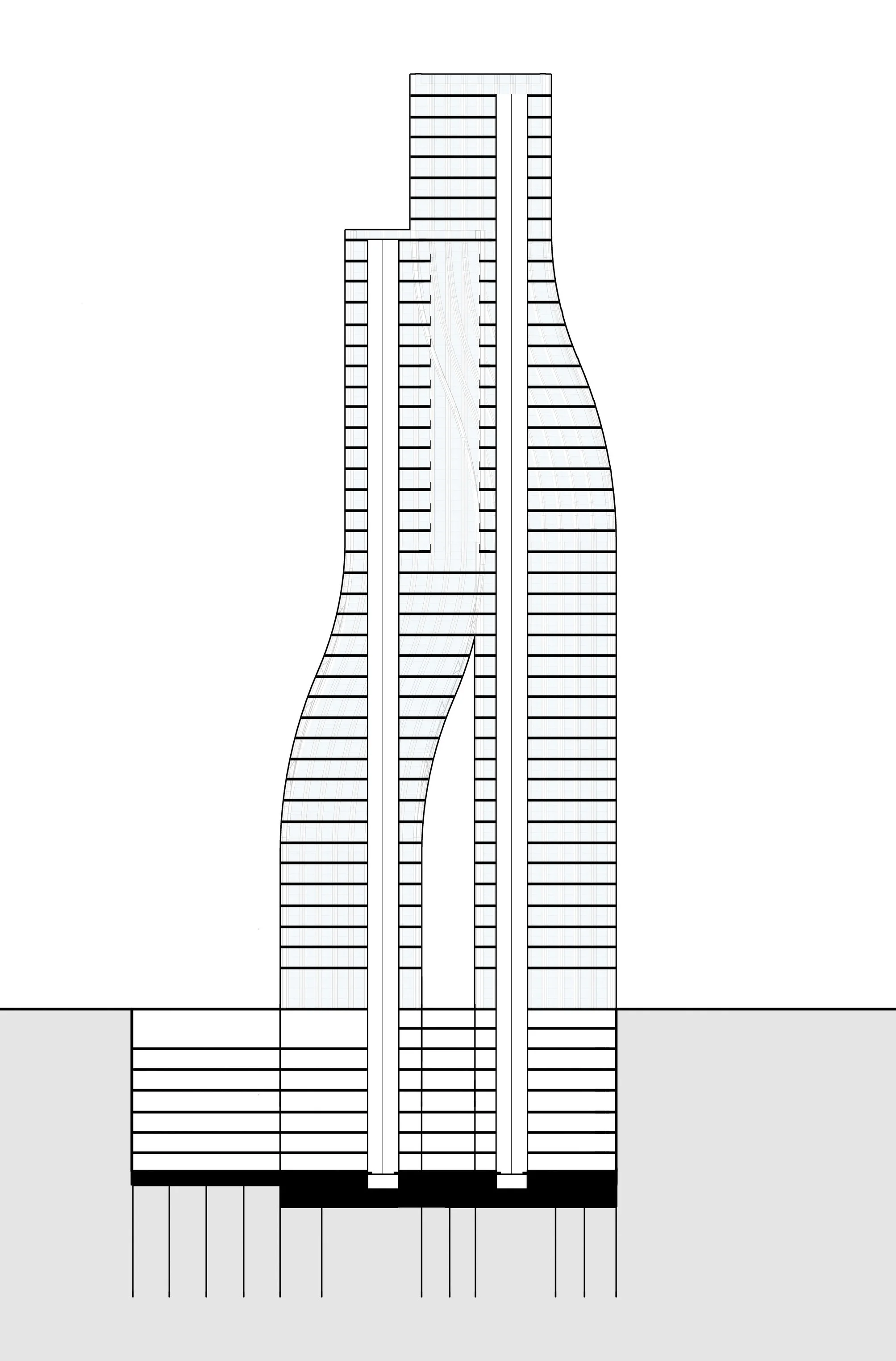 SECTION.jpg