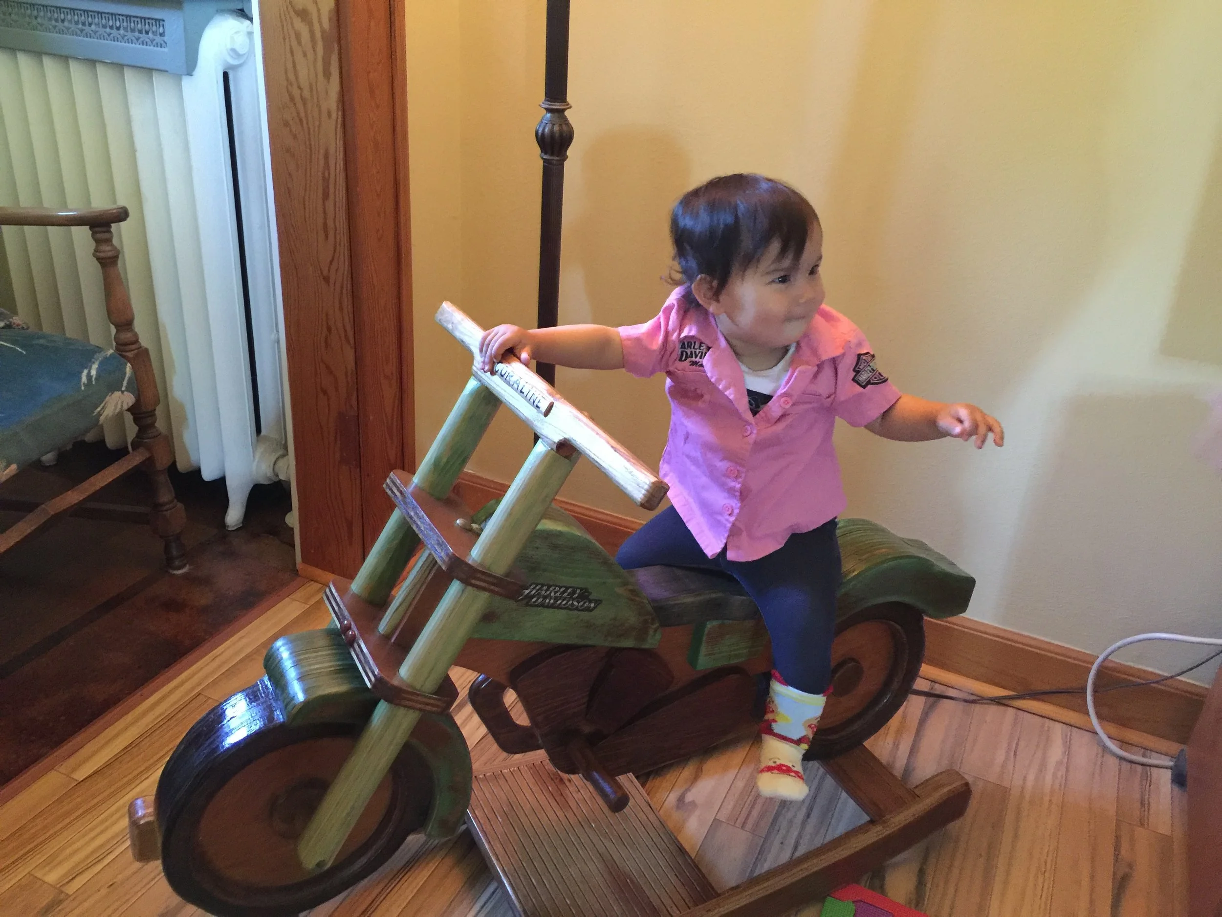 Trip to Michigan 2017